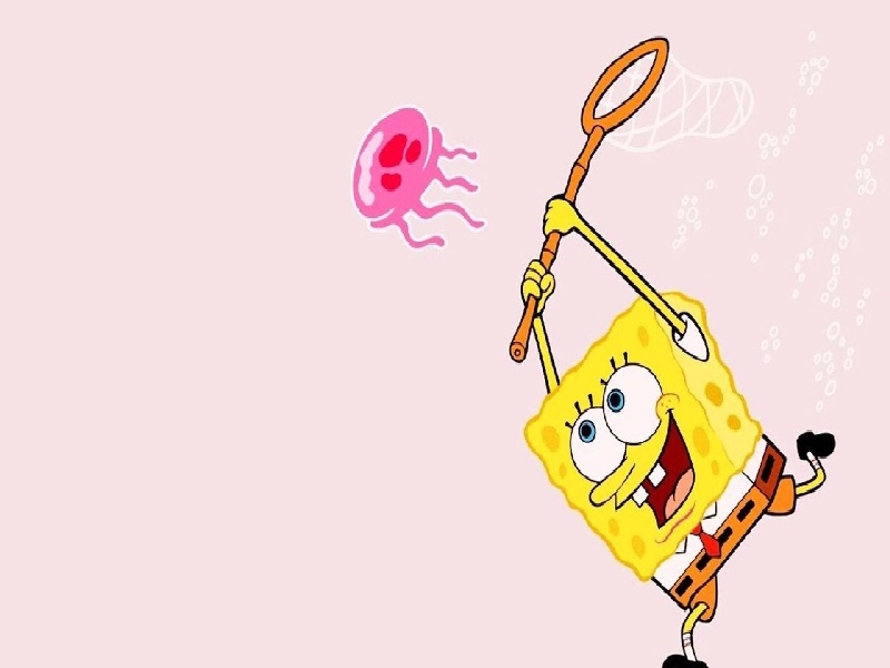 海口试管不做预移植（试管婴儿移植费用）